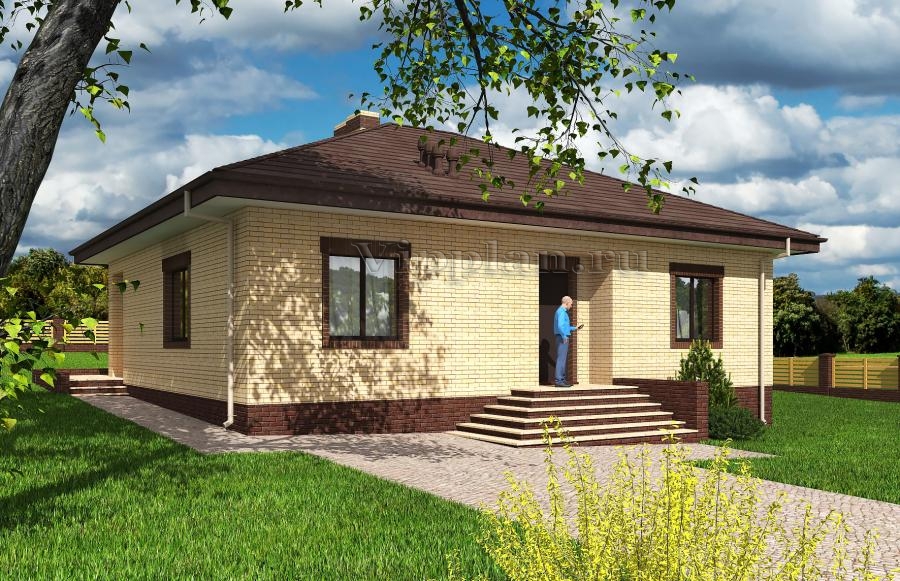 Одноэтажный дом с террасой